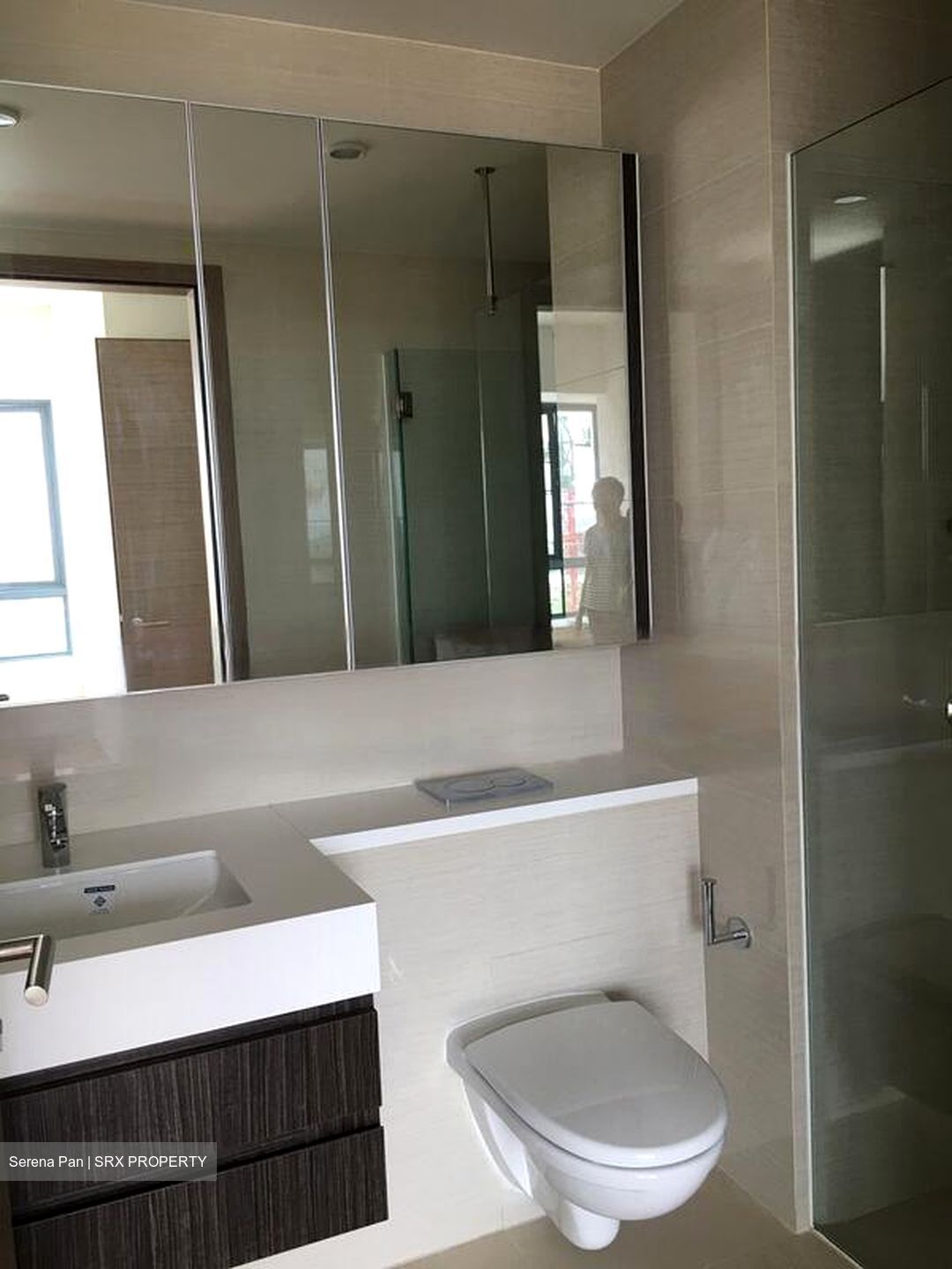 The Palette (D18), Condominium #460623251